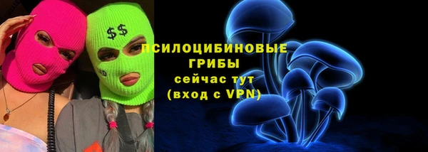 шишки Абинск