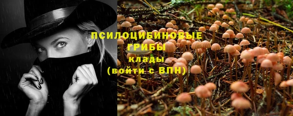 шишки Абинск