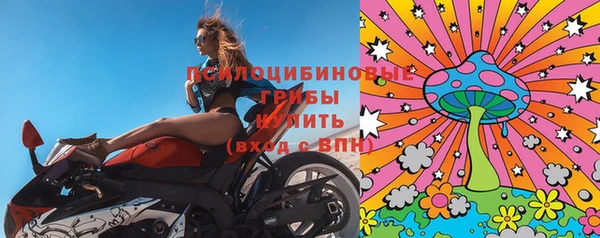 шишки Абинск