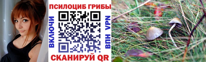 Галлюциногенные грибы GOLDEN TEACHER наркошоп Нижний Новгород