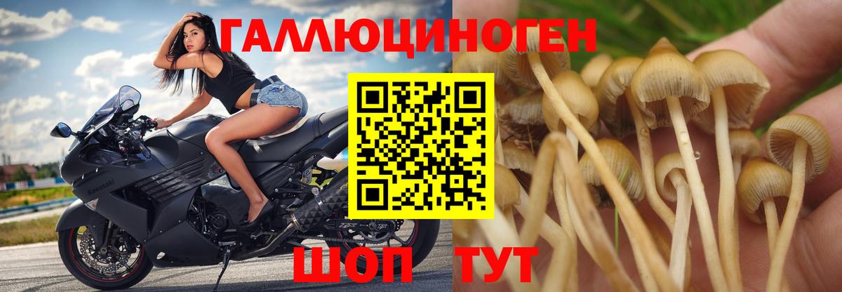 Галлюциногенные грибы мухоморы  Вход с VPN  Нижний Новгород 